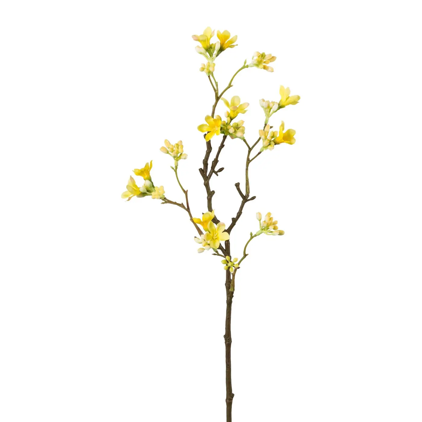 Scheinquittenzweig 51cm gelb
