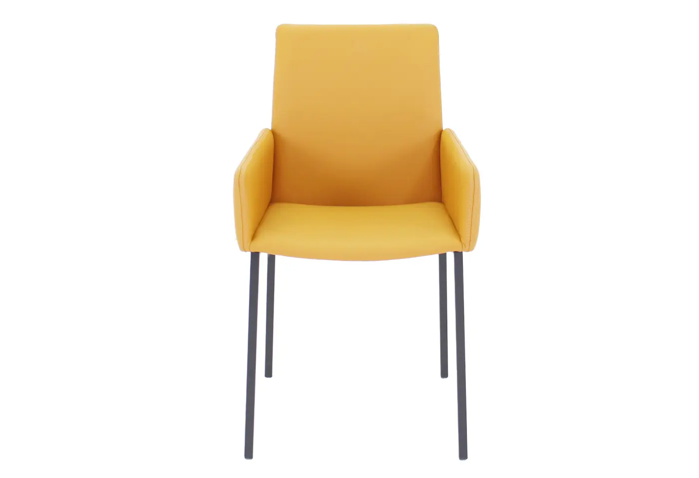 Stuhl 23556 Leder Toledo leem
