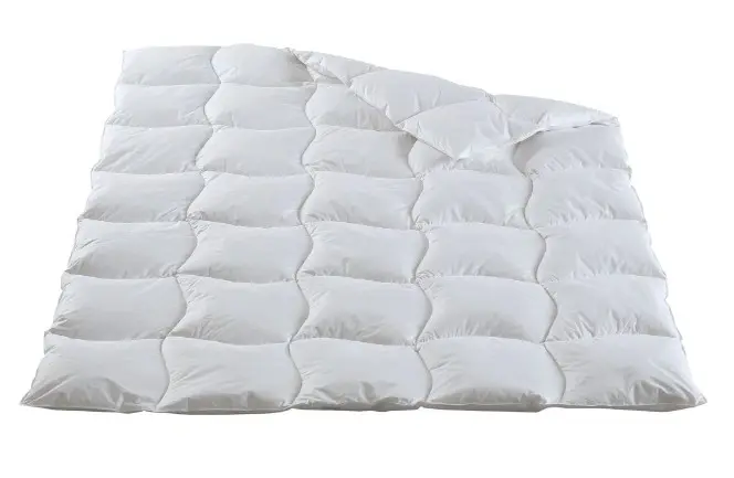 Ganzjahres-Duvet 6166 von Dorbena Daunen Swiss 1020g ca. 240x240cm