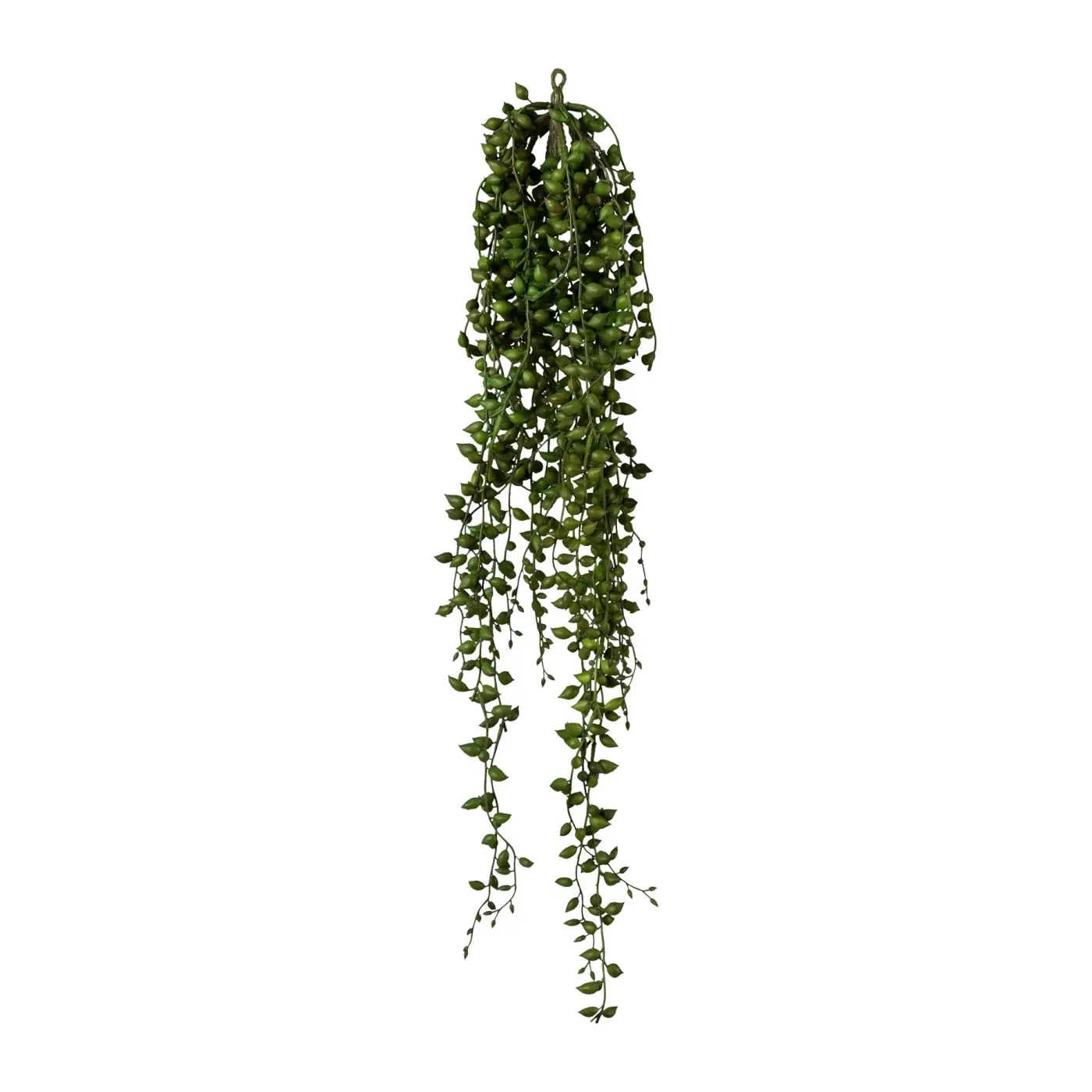 Seneciohänger 88cm 88cm grün