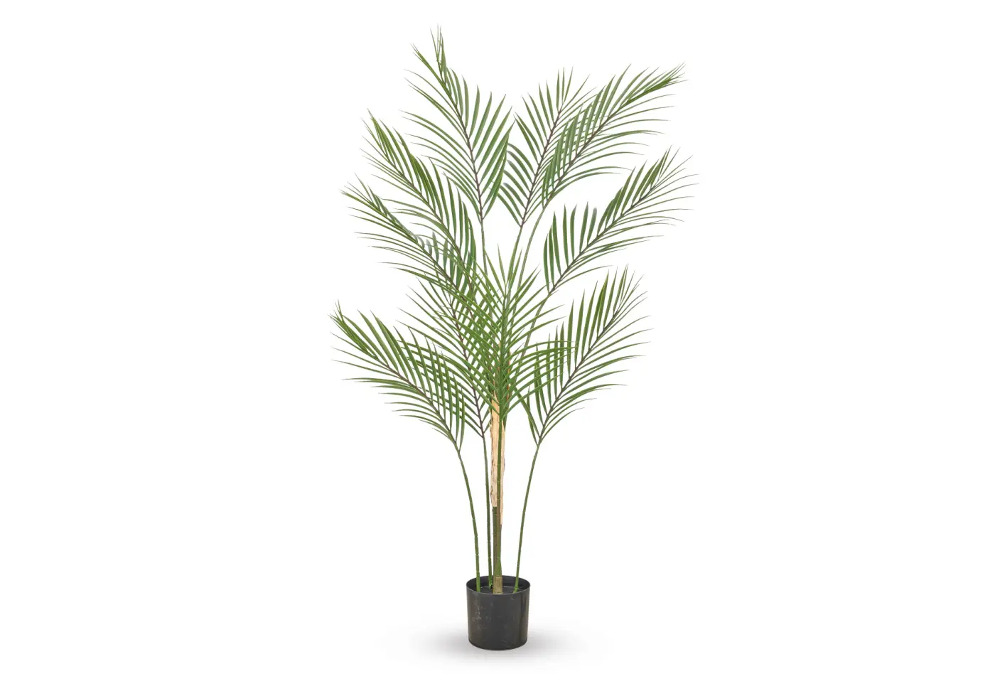 Phönixpalme 110cm grün, m. Kunststofftopf Grün Kunststoff ca. 110cm