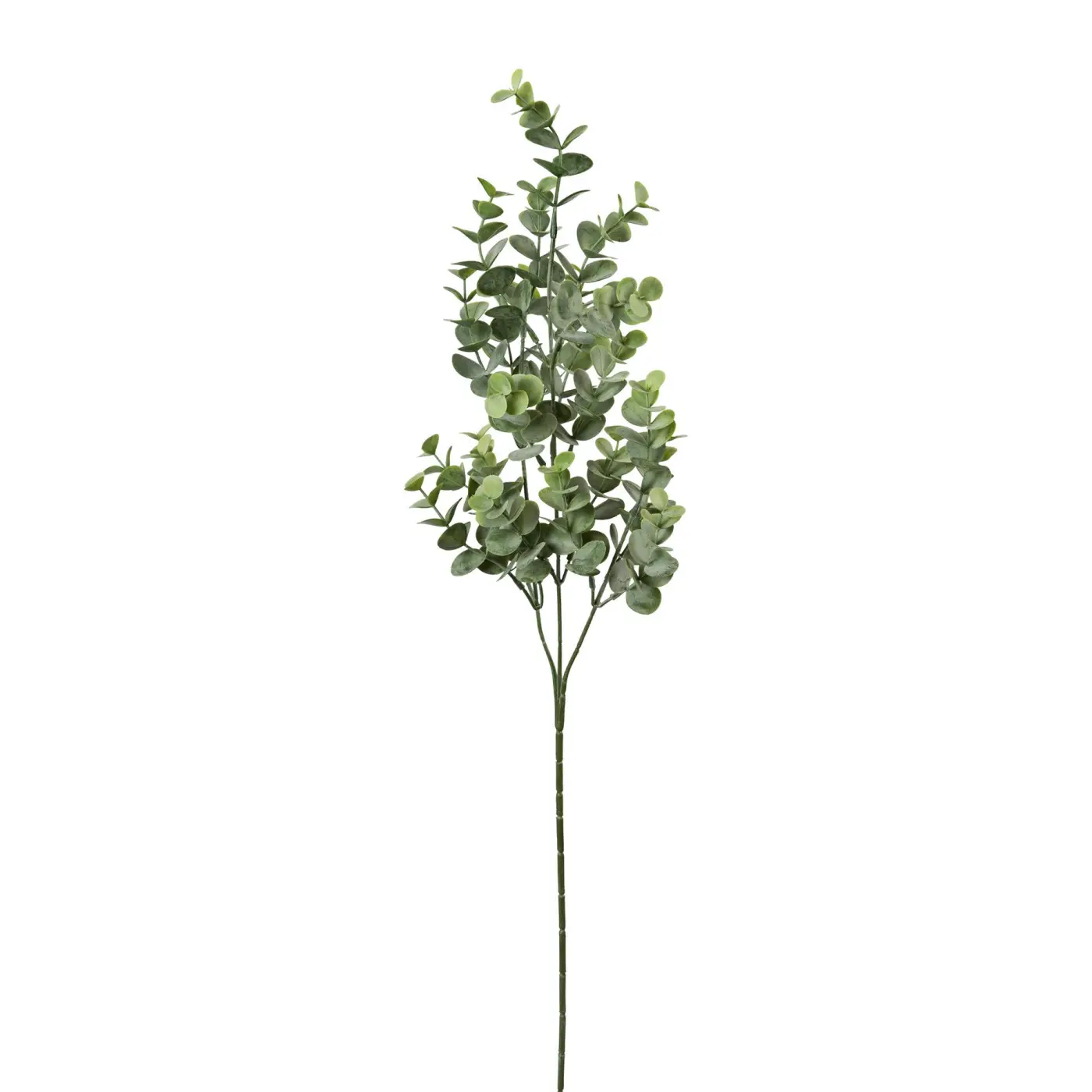 Eukalypthuszweig 69 69cm grau