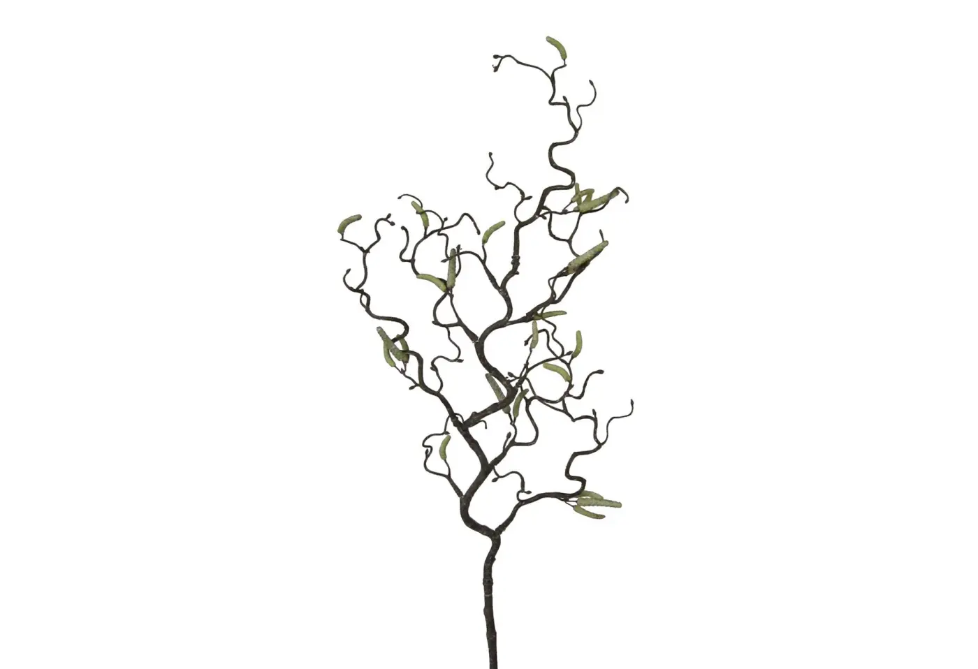 Korkenzieherhasel 67cm 67cm Grün, Braun Kunststoff ca. 67cm