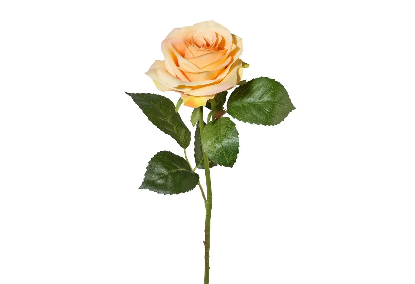 Rose/53 orange Orange Kunststoff ca. 53cm