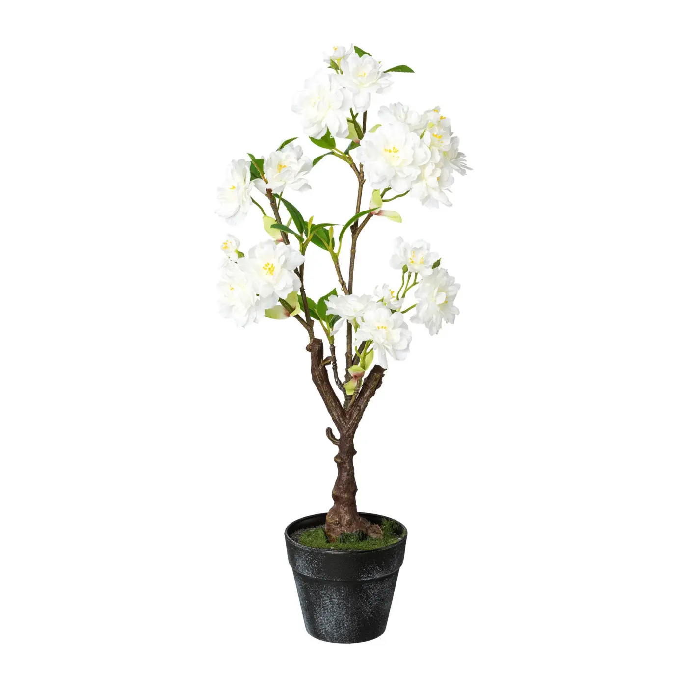 Kirschblüten-Bonsai im Topf, 40cm, weiss Weiss Deko-Stoff ca. 40cm