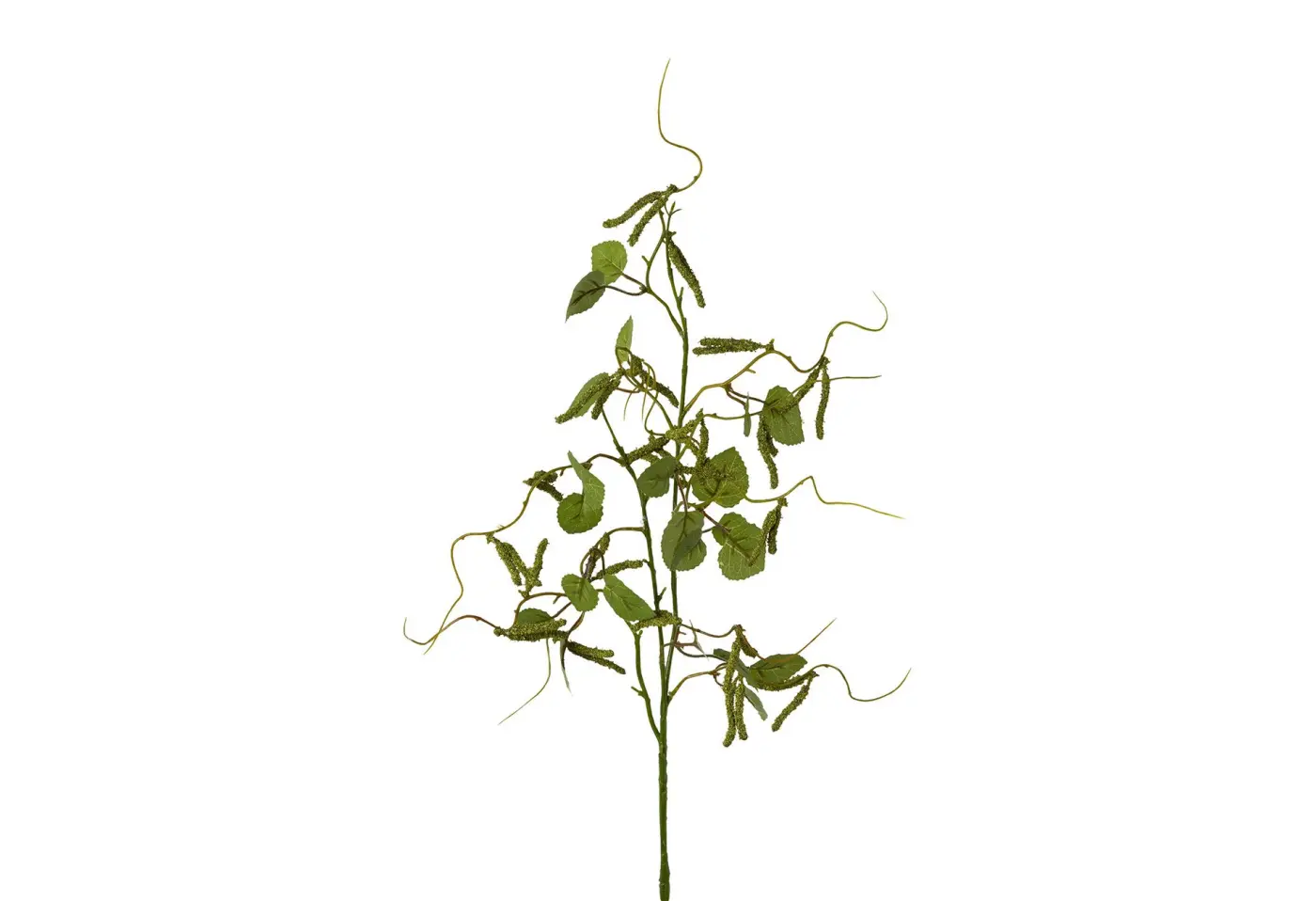 Birkenzweig 74cm 74cm, grün Grün Kunststoff ca. 74cm