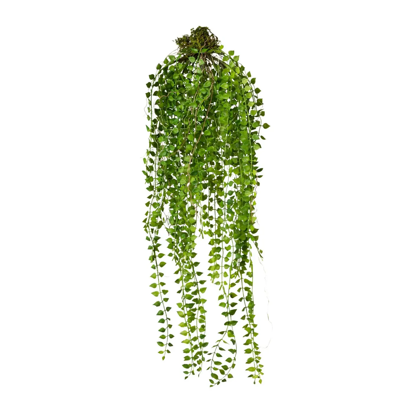 Columneahänger 70cm grün