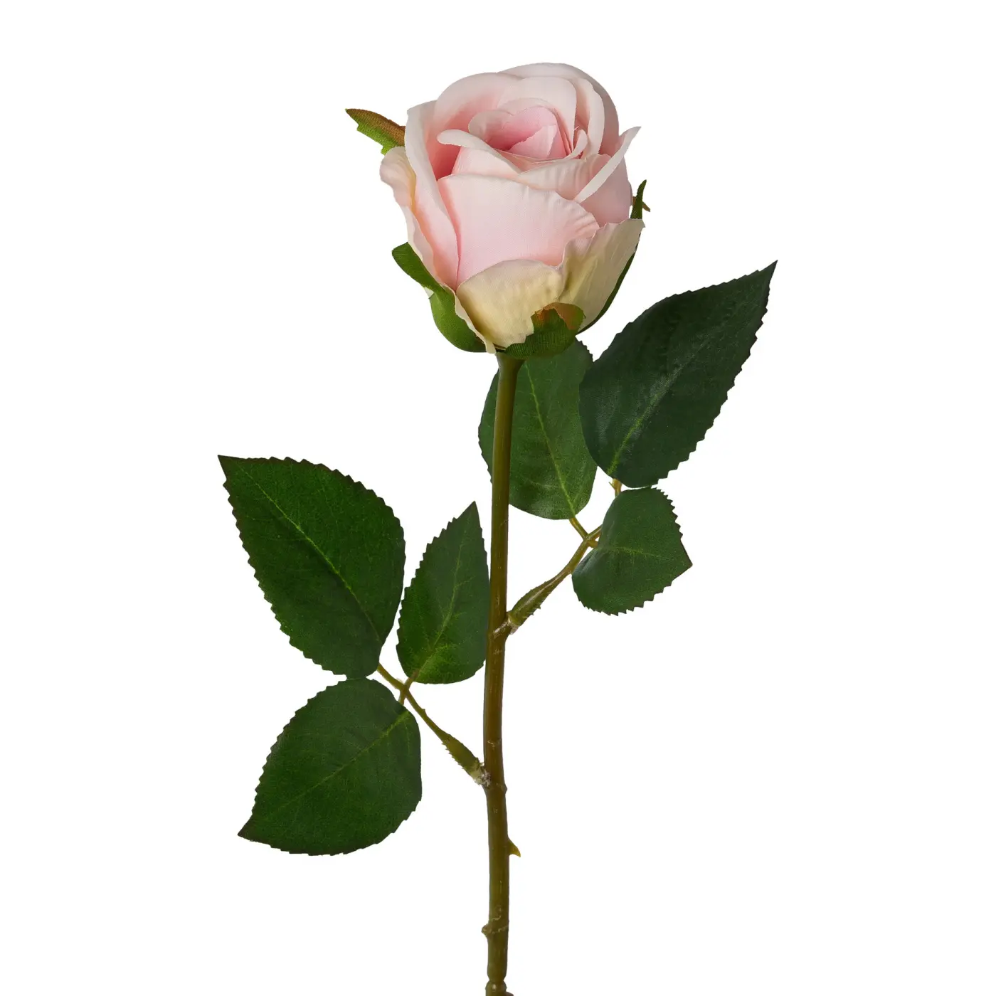 Rose Rosa ca. 45cm