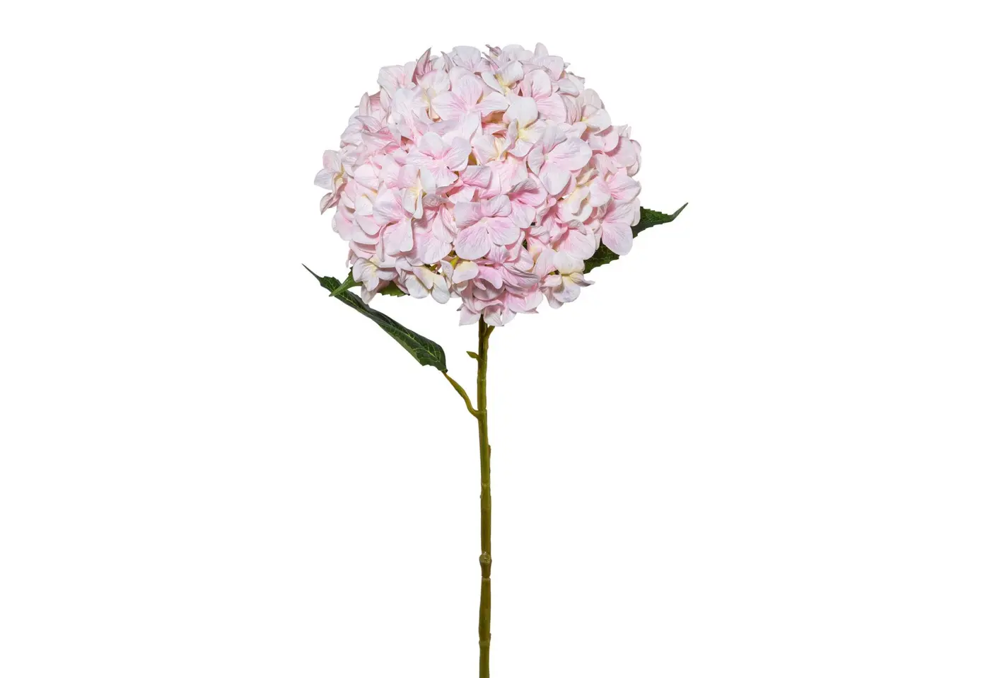 Hortensie XXL/111cm rosa