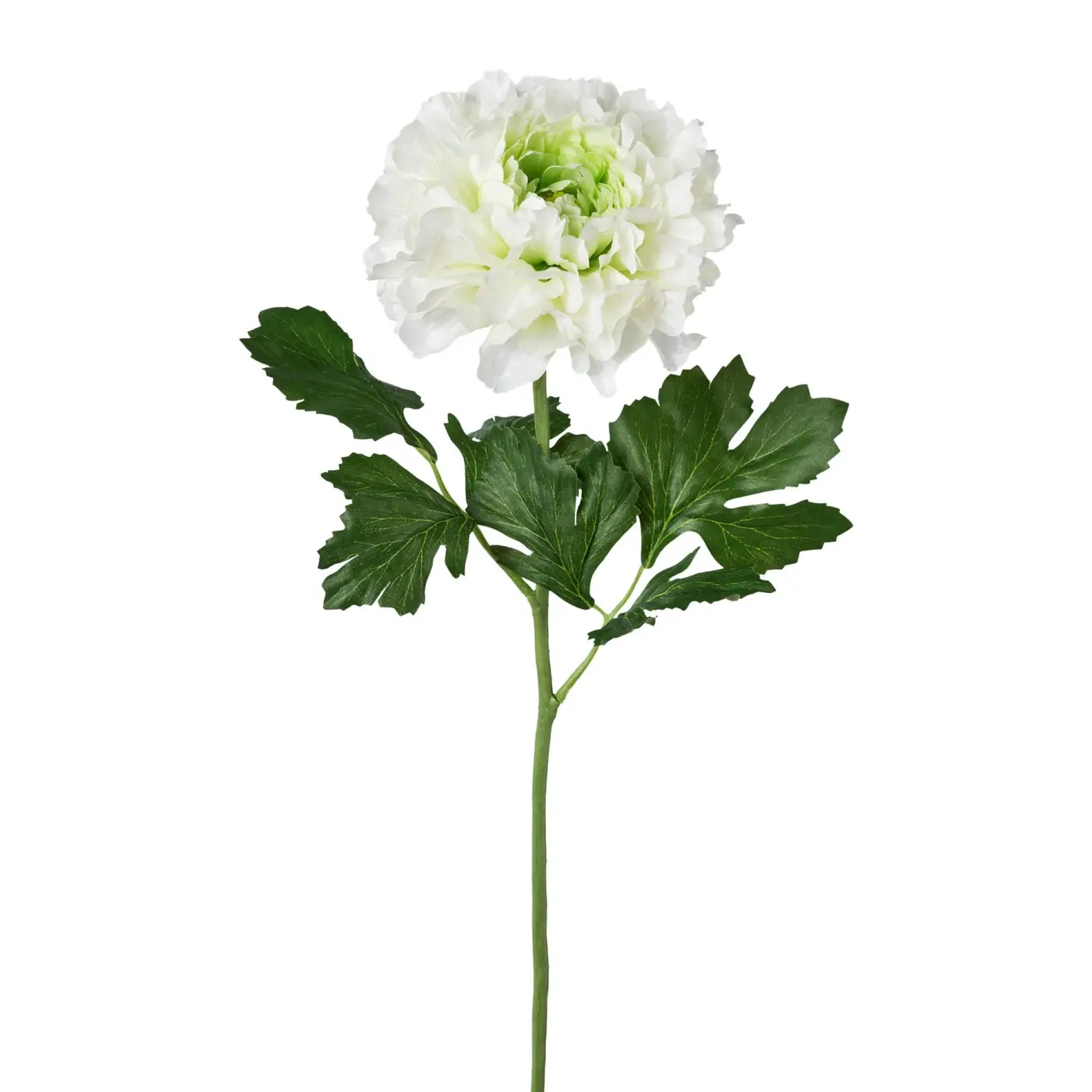 Ranunkel 60cm weiss Weiss Kunststoff ca. 60cm