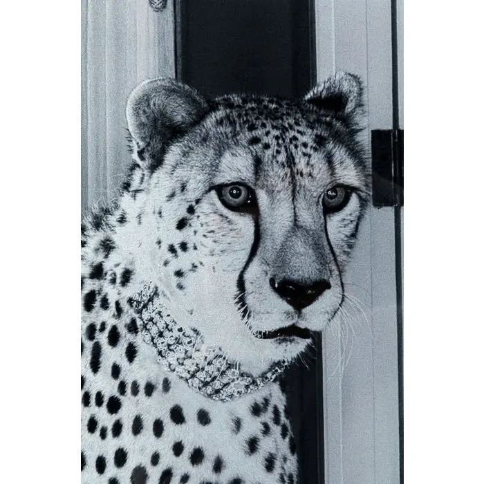 Bild 16546 Schwarz, Weiss Polypropylen, Sicherheitsglas ESG foliert ca. 150x100x4cm