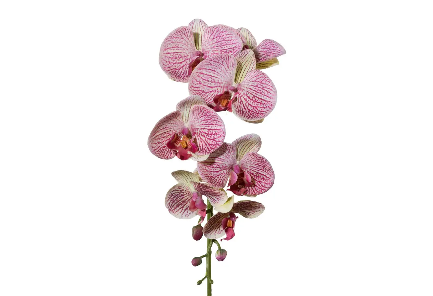 Phalenopsisx7 3D 87cm, purple Lila Kunststoff ca. 87cm