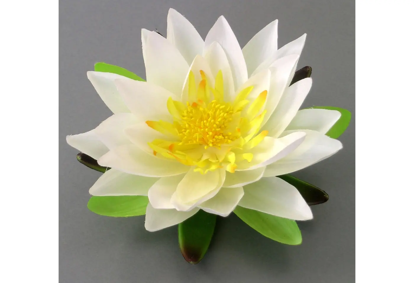 Lotusblüte/15 15cm, creme