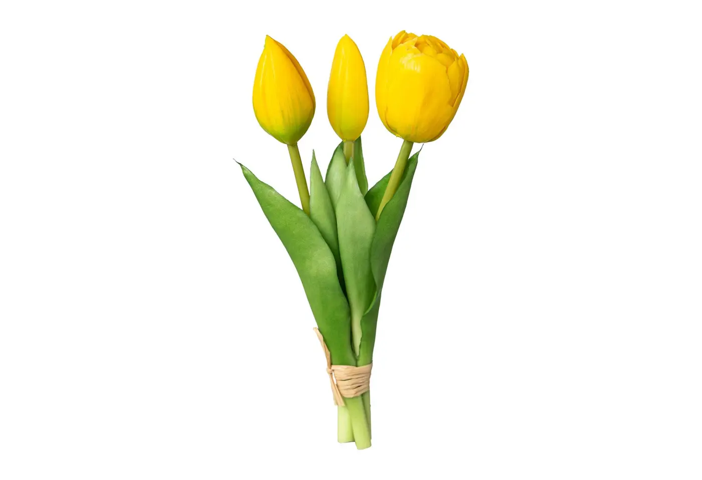 Tulpenbund 20,5cm 20,5cm, gelb