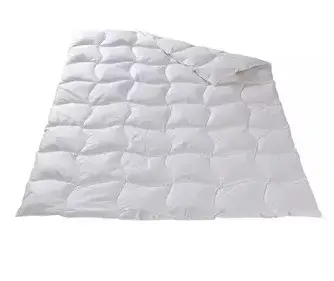 Ganzjahres-Duvet leicht 20005 von Dorbena Daunen Arnica Premium 720g ca. 240x240cm