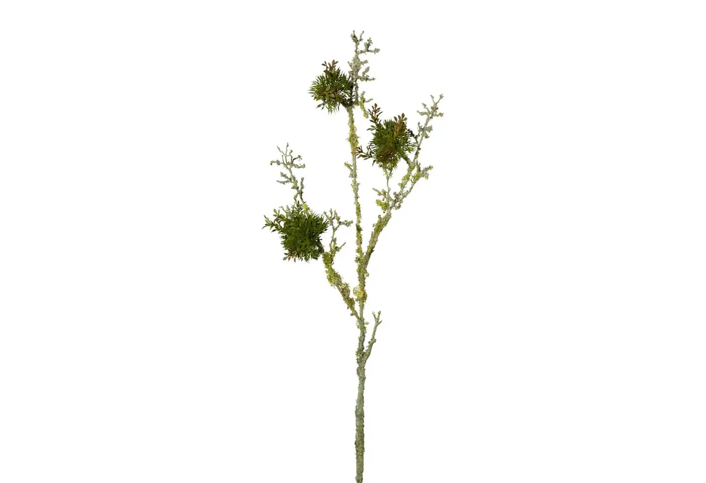 Flechtenzweig 87cm 87cm Grün Kunststoff ca. 87cm
