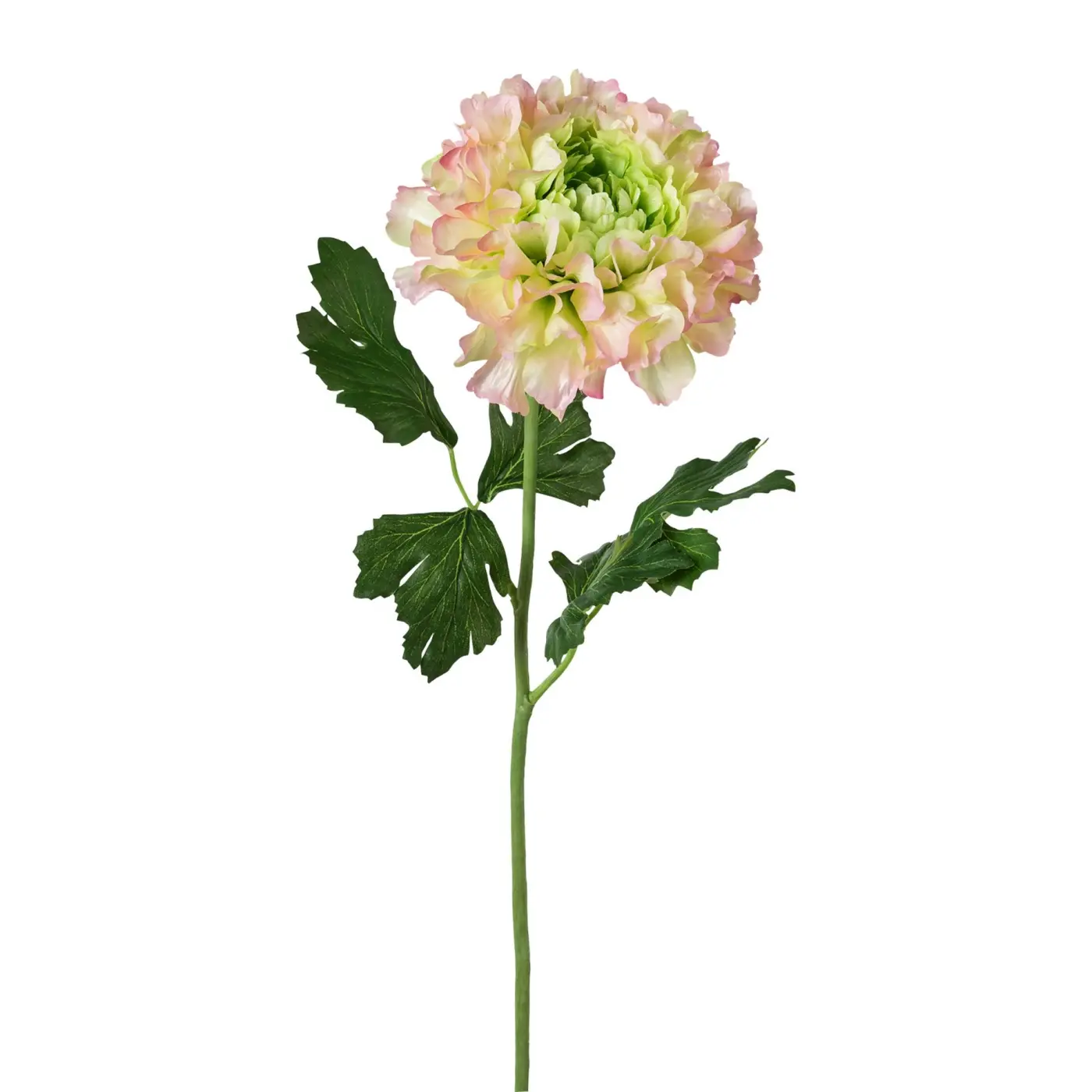 Ranunkel 60cm rosa Rosa Kunstsoff ca. 60cm