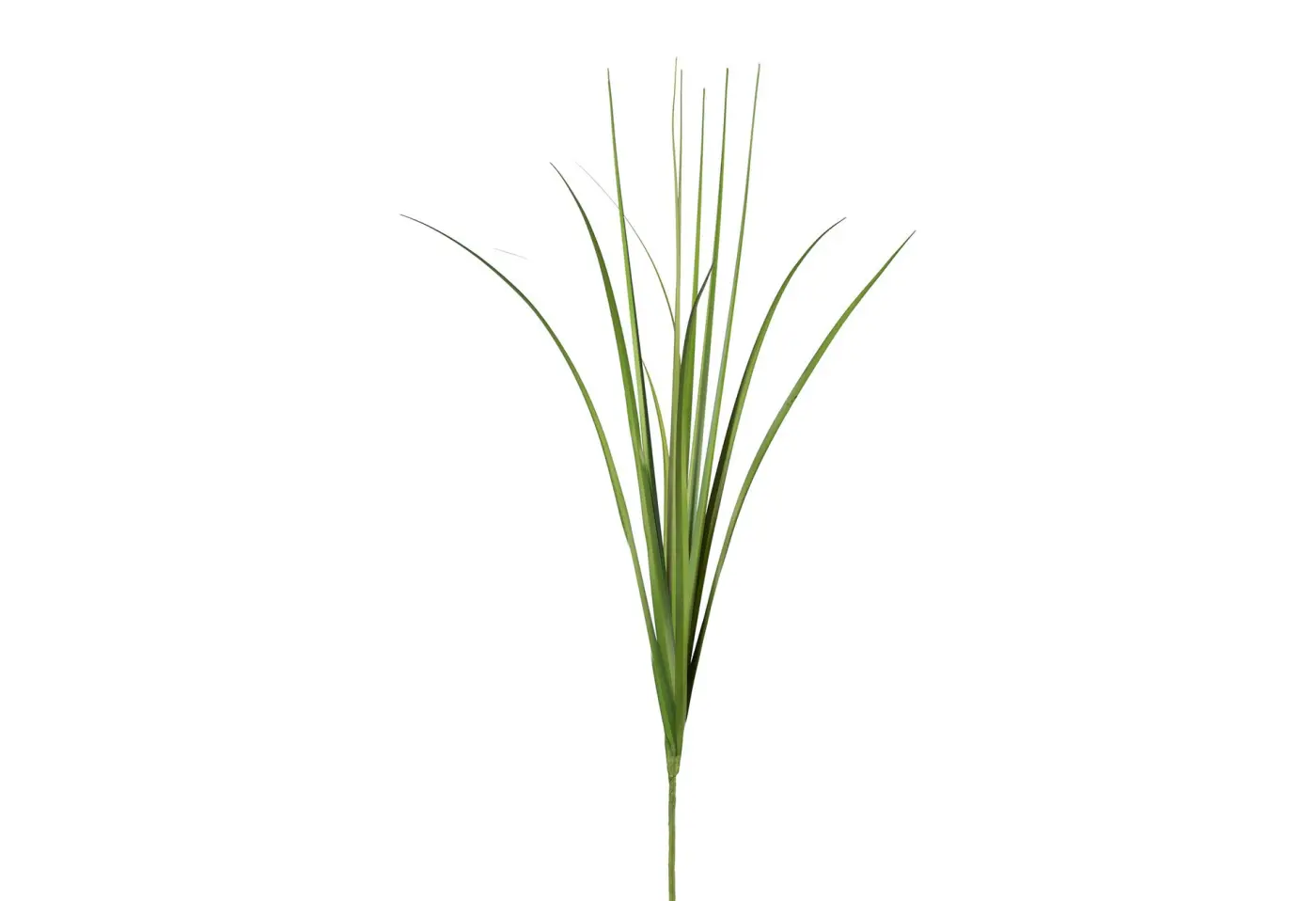 Graszweig 63cm 63cm
