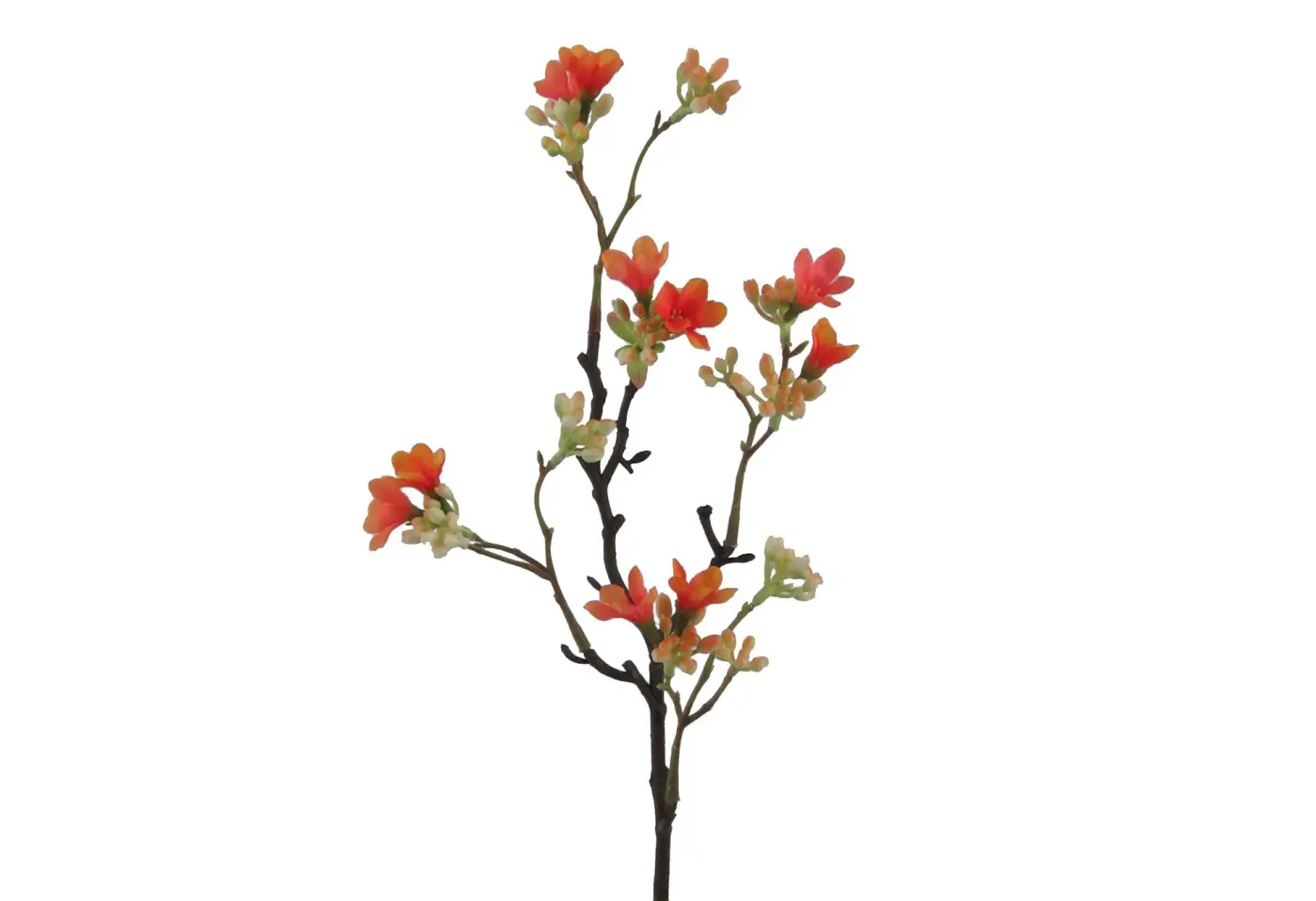 Scheinquittenzweig 51cm coralle
